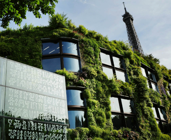 Musée du quai Branly - Jacques Chirac, Billet d'entrée : 