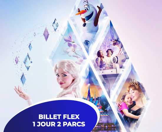 Disneyland® Paris, Billet Flex 1 jour 2 parcs : 