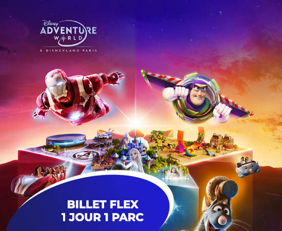 Disneyland® Paris, Billet Flex 1 jour 1 parc :
