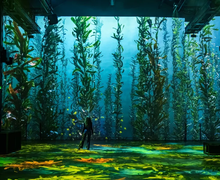 Atelier des Lumières, -10% sur les billets en ligne (2/3)