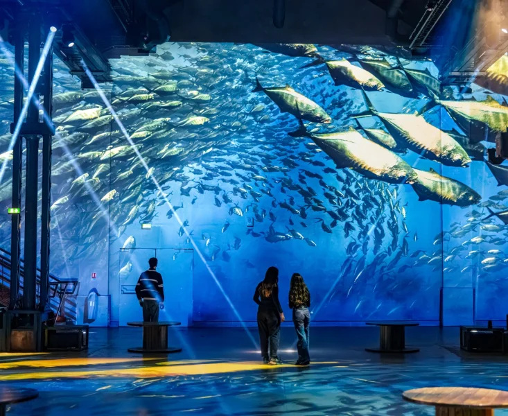 Atelier des Lumières, Réduction Expositions immersives  🎥 : 