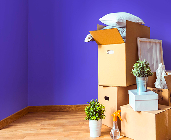 Papernest, Économise sur tes contrats 💸 :