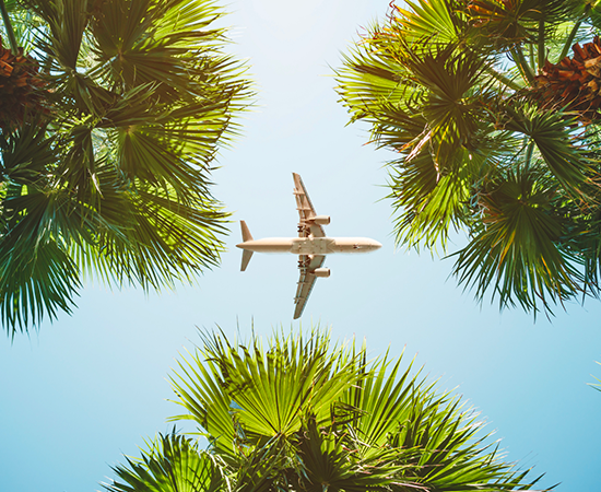 Trip.com, Réduction Vol ✈️ : 