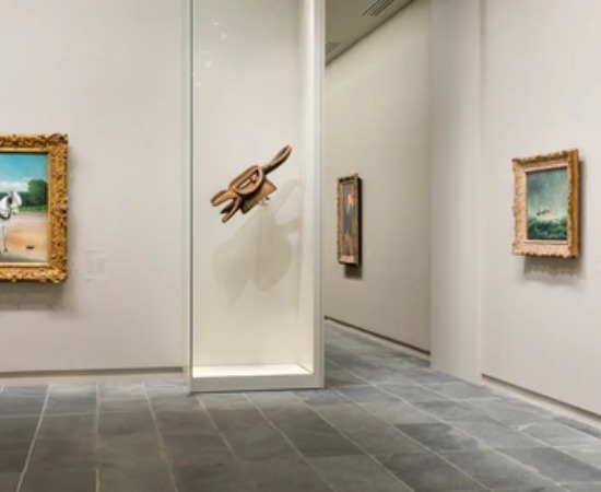 Musée de l'Orangerie, Entrée gratuite pour les -26*ans 🤩 (2/3)