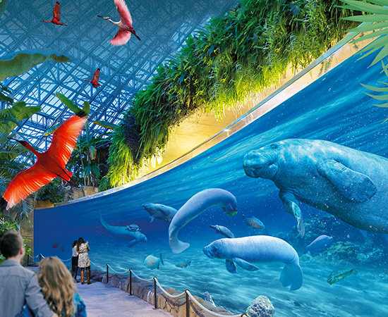 ZooParc de Beauval, Billet adulte 2 jours : 